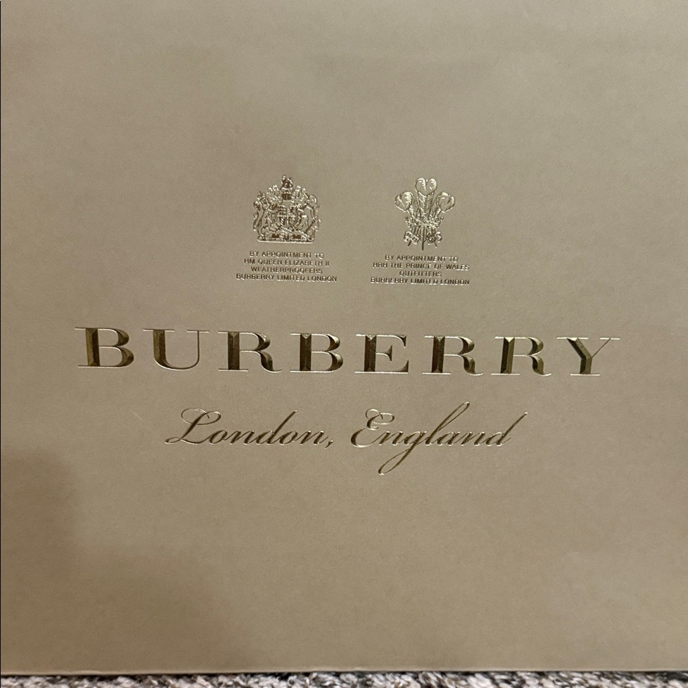 Burberry Shopping Storage Bag - Picture 7 of 11